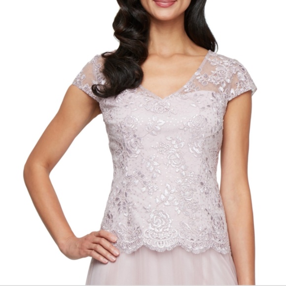 Alex Evenings Women's Embroidered-Chiffon Tulle-Skirt Gown Size: 16 Color: Blush - Picture 2 of 4